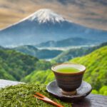Firefly Grüner Tee, japanische Berge, traditionelle tasse 68164